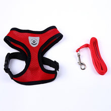 Load image into Gallery viewer, Breathable Mesh Harness and Leash for Small Breeds
