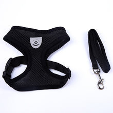 Load image into Gallery viewer, Breathable Mesh Harness and Leash for Small Breeds
