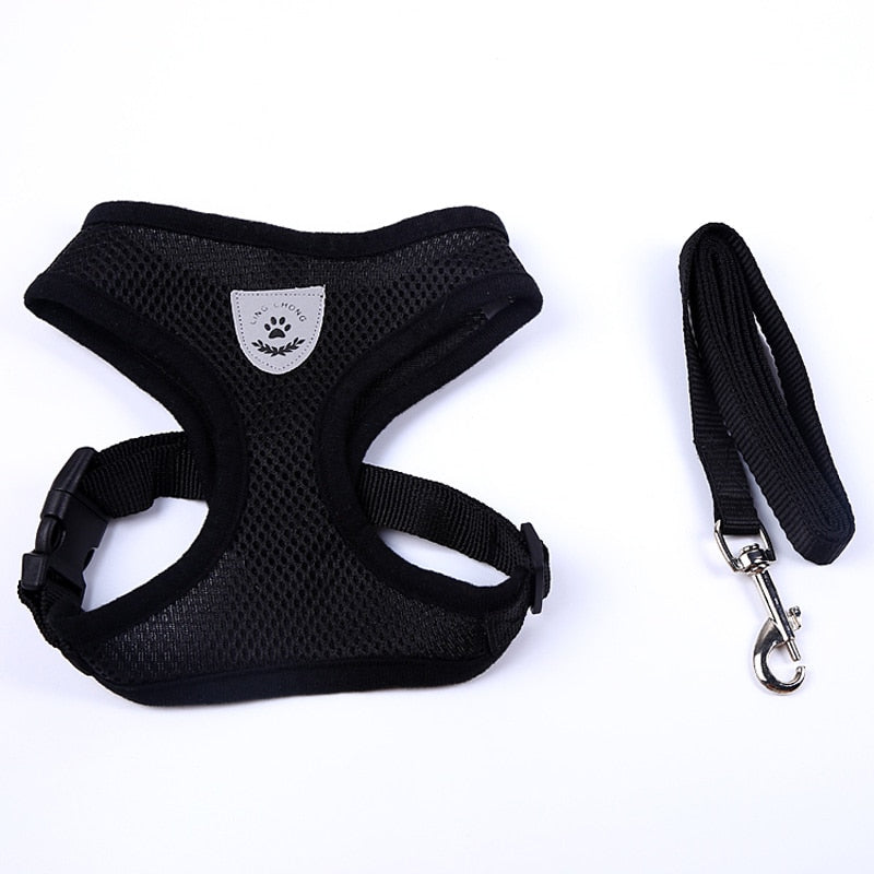 Breathable Mesh Harness and Leash for Small Breeds