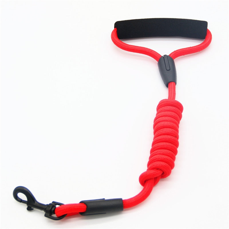 Heavy-Duty Nylon Dog Leash with Comfort Foam Handle 1/2