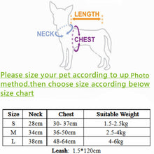 Load image into Gallery viewer, Breathable Mesh Harness and Leash for Small Breeds
