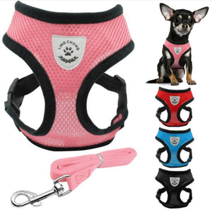 Breathable Mesh Harness and Leash for Small Breeds