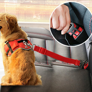 Heavy Duty Nylon Seat Belt Leash